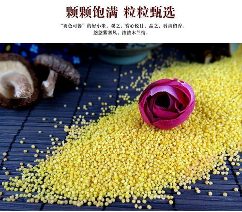 方顺 木兰贡米礼盒600g 3一级小米新米五谷杂粮河北承德特产