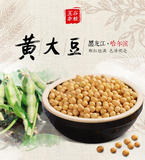 一粒黄豆的千年之旅 东北原产地的舌尖馈赠